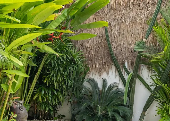 Akhila Canggu (Bali)